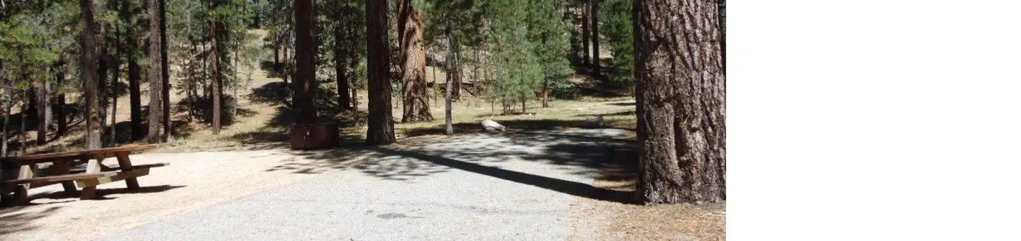 Barton Flats Campground