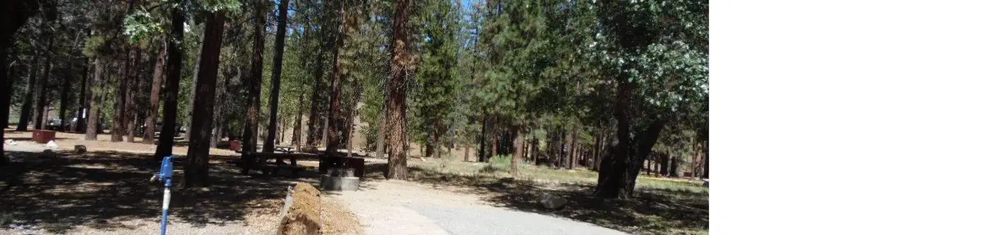 Barton Flats Campground
