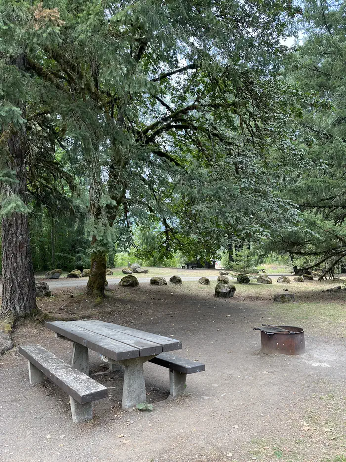 Santiam Flats Campground