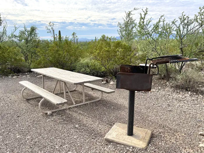 Twin Peaks Campground - Organ Pipe Cactus Nat Monument