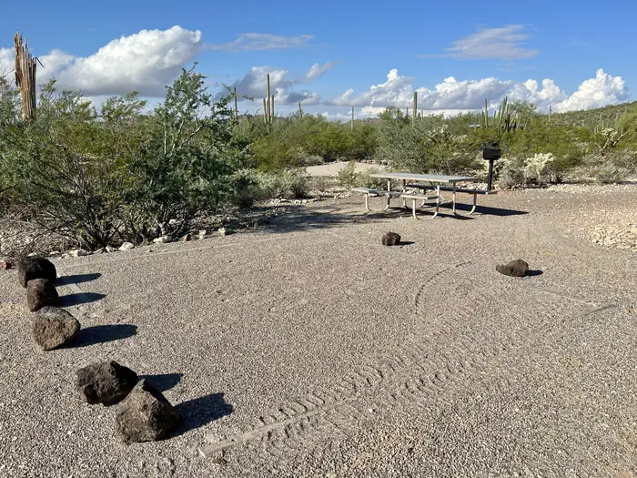 Twin Peaks Campground - Organ Pipe Cactus Nat Monument
