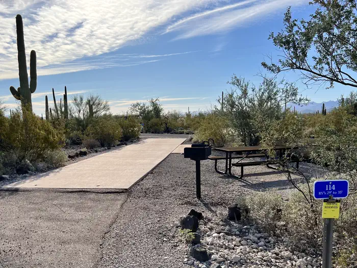 Twin Peaks Campground - Organ Pipe Cactus Nat Monument