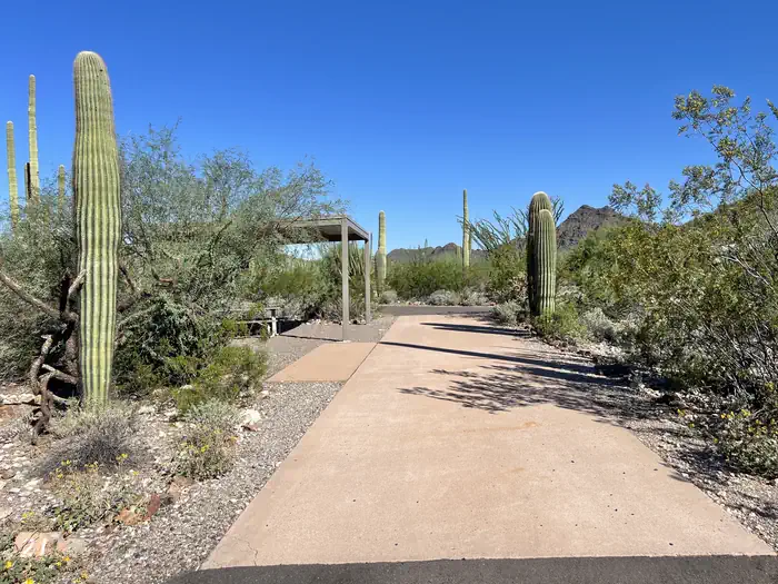 Twin Peaks Campground - Organ Pipe Cactus Nat Monument