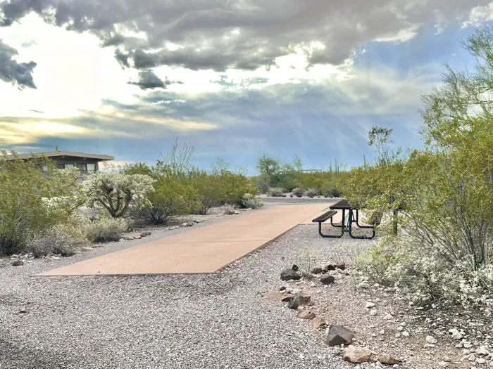 Twin Peaks Campground - Organ Pipe Cactus Nat Monument