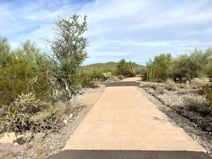 Twin Peaks Campground - Organ Pipe Cactus Nat Monument