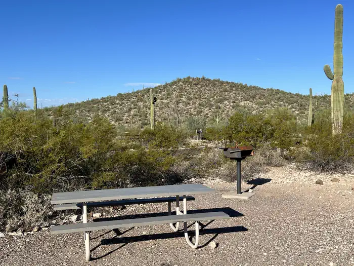 Twin Peaks Campground - Organ Pipe Cactus Nat Monument