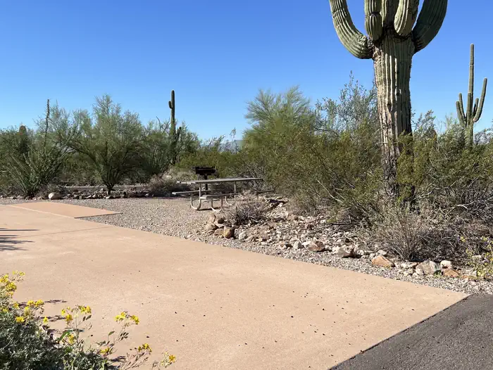 Twin Peaks Campground - Organ Pipe Cactus Nat Monument