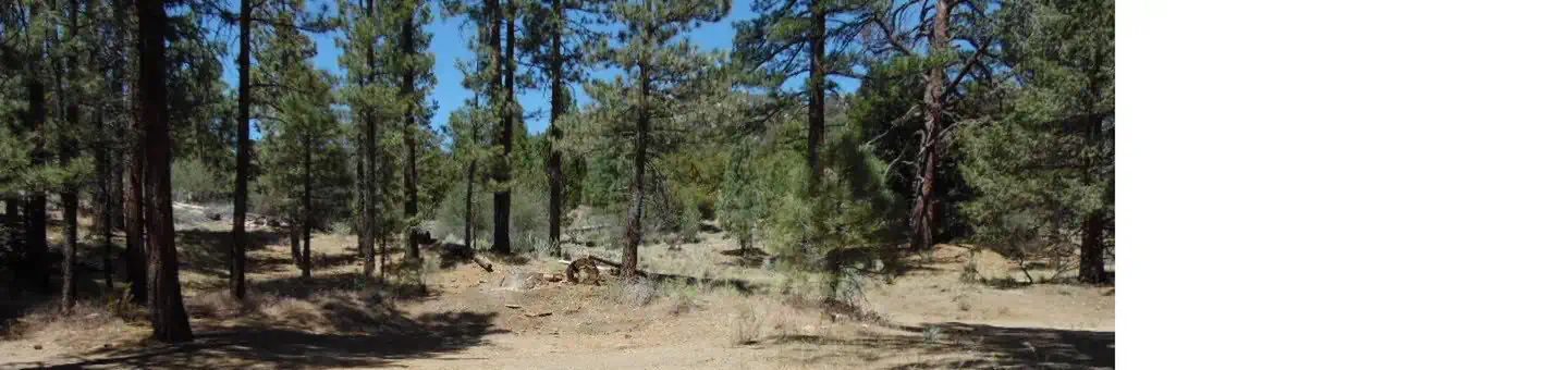 Wild Horse Equestrian Campground