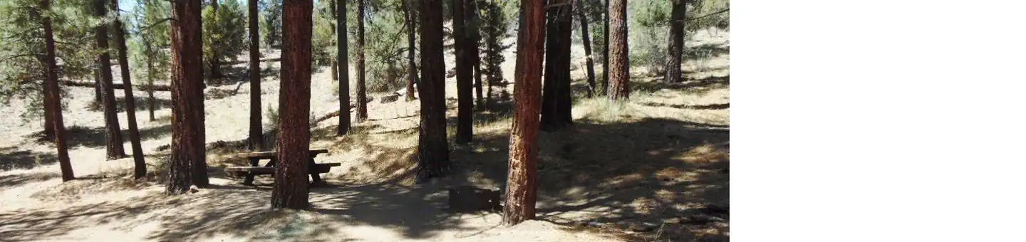 Wild Horse Equestrian Campground