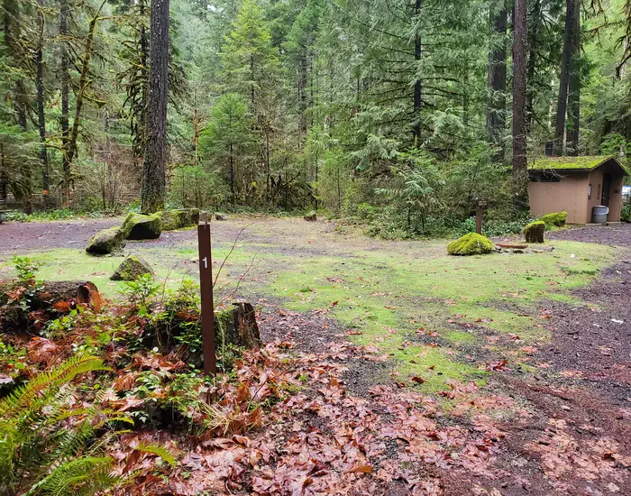 Site 001