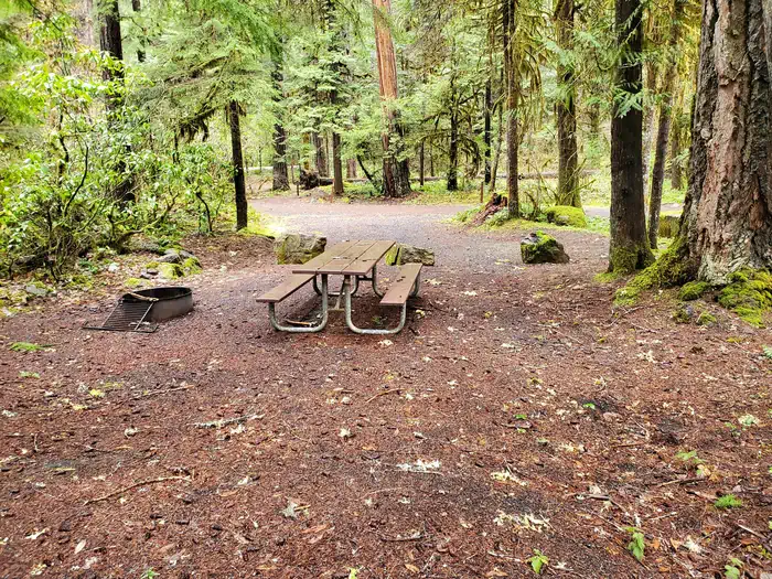 Scaredman Recreation Site