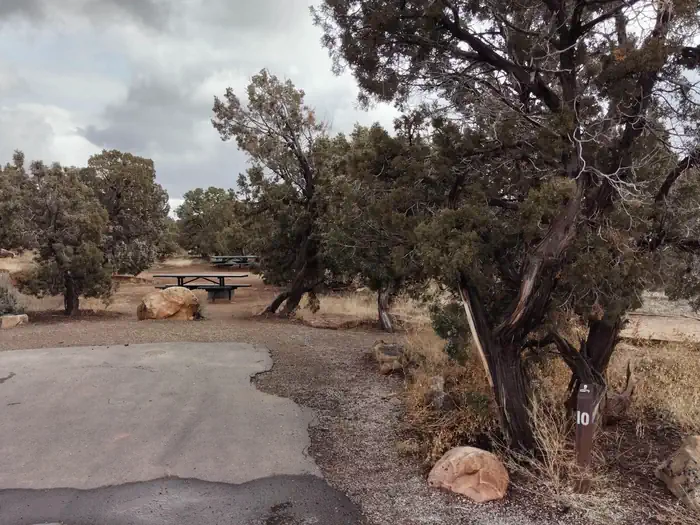 Site 10