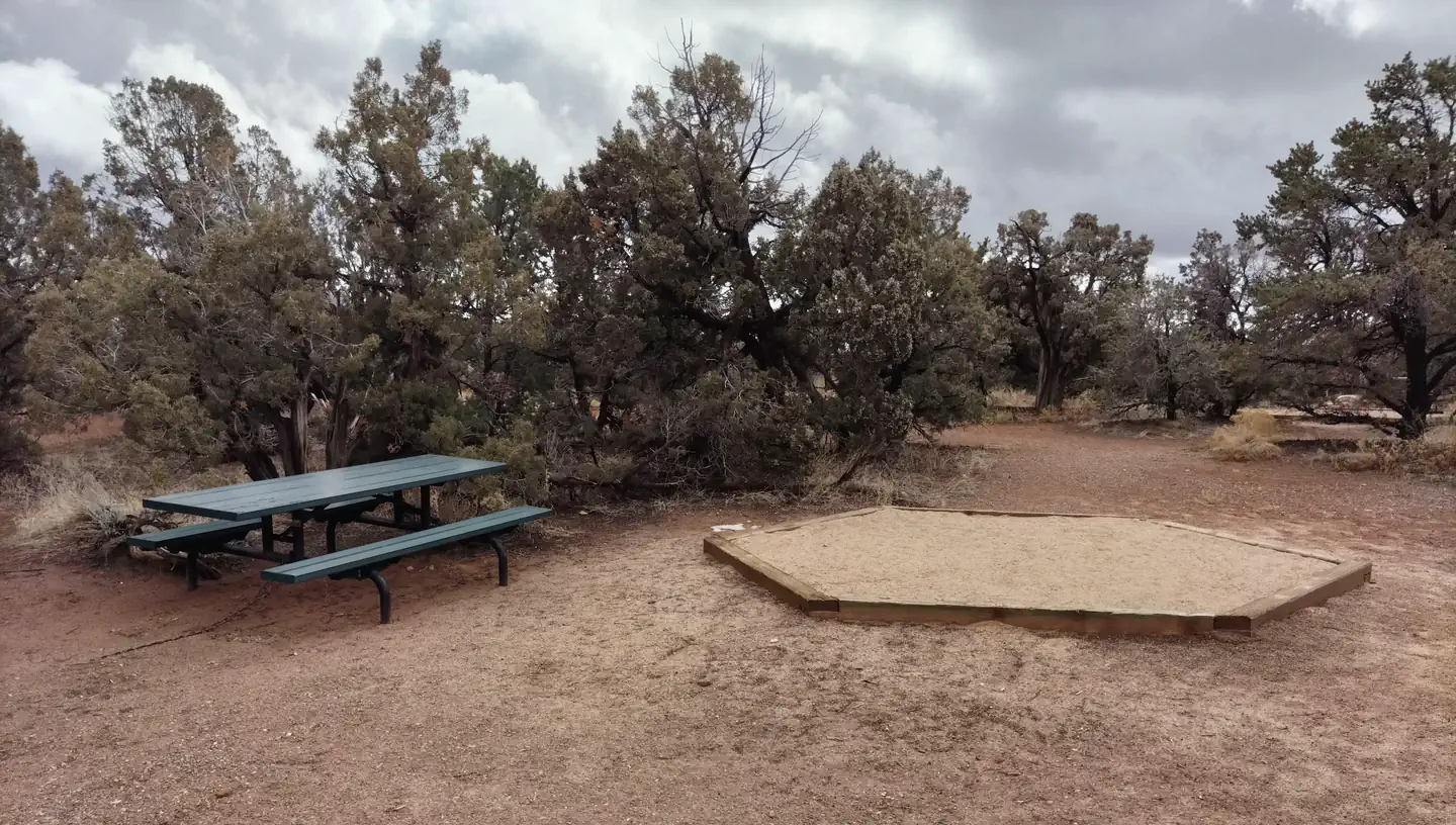 Site 11