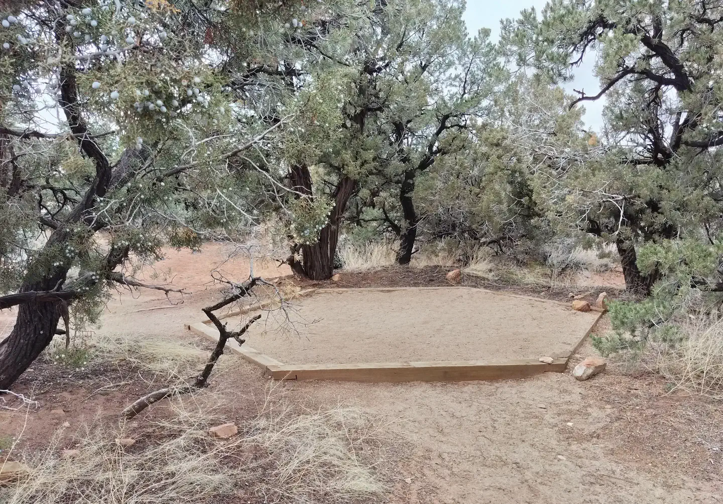 Natural Bridges Campground