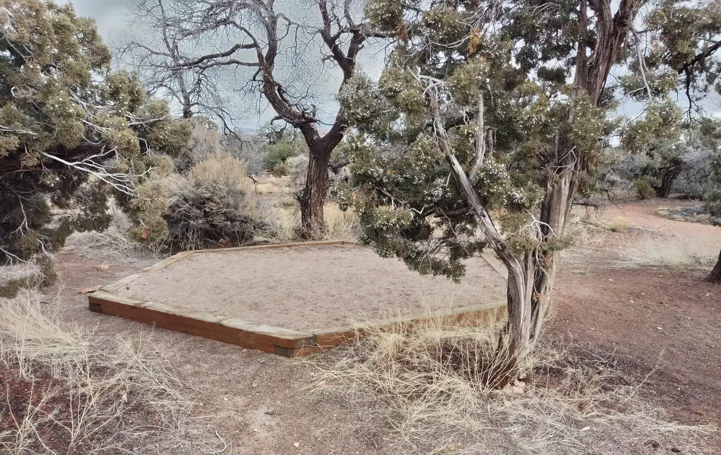 Natural Bridges Campground