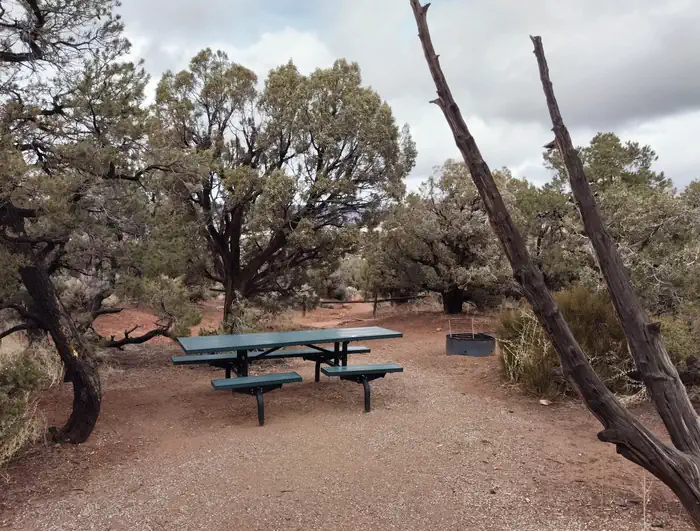 Site 2