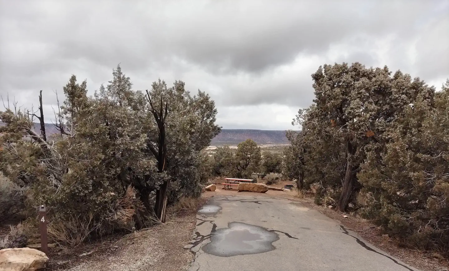 Natural Bridges Campground