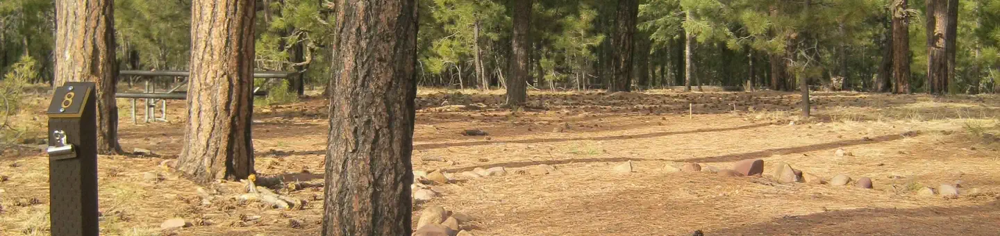 Black Canyon Rim Campground (apache-sitgreaves National Forest, Az)