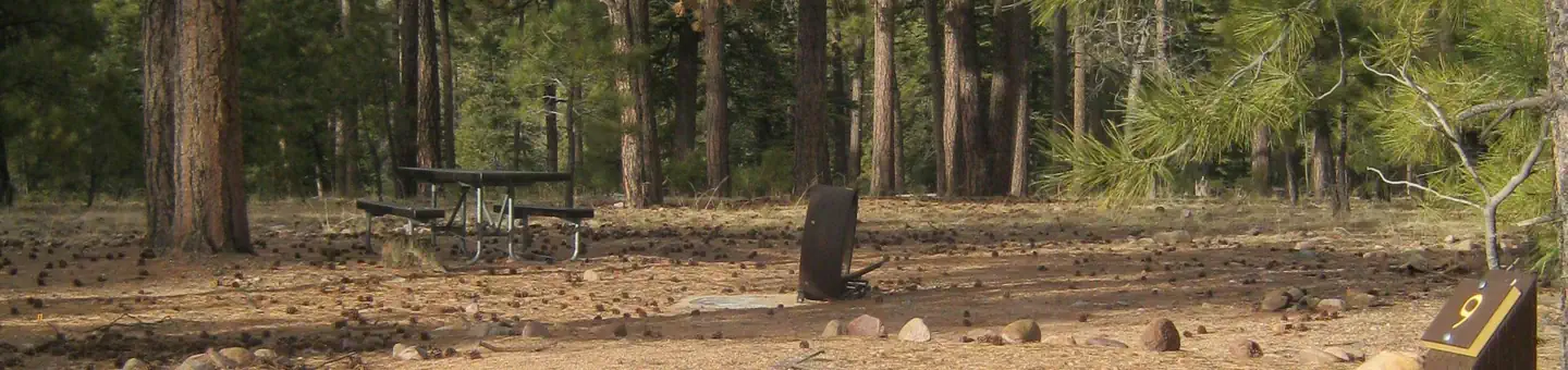 Black Canyon Rim Campground (apache-sitgreaves National Forest, Az)