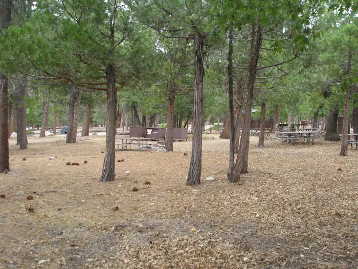 Canyon View Group Sites