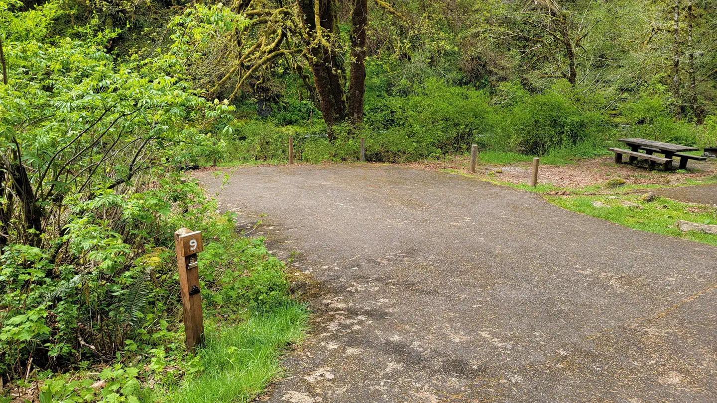 Alder Glen Recreation Site