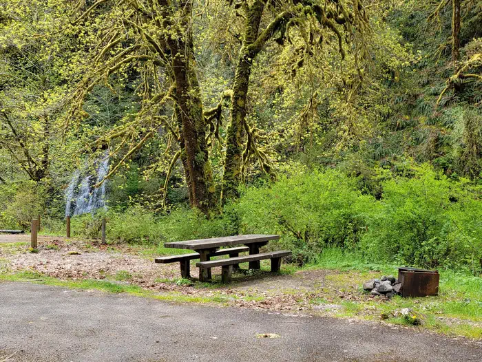 Alder Glen Recreation Site