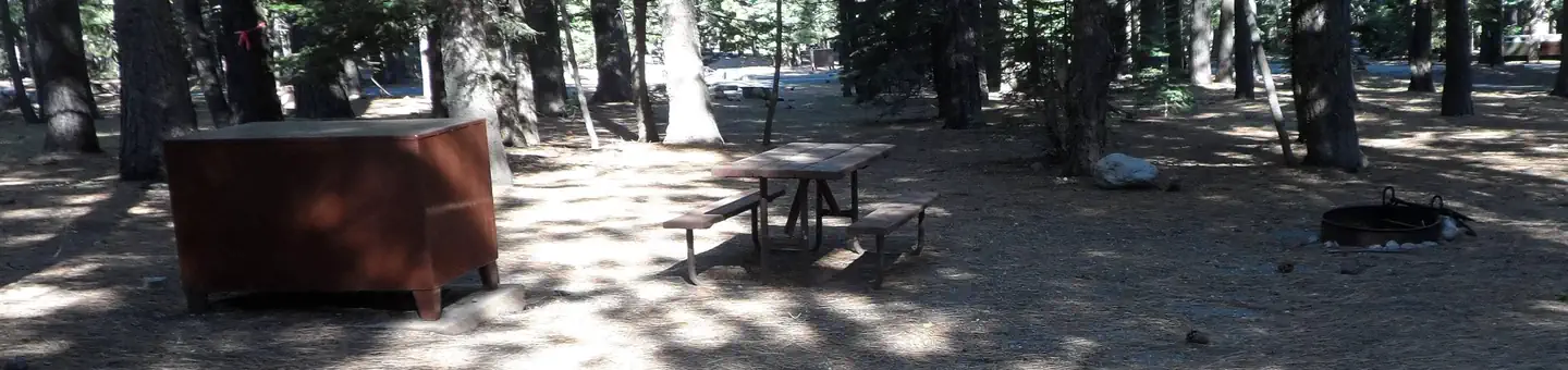 Indian Creek Campground (Yellowstone)