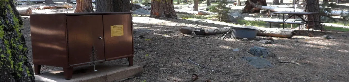 Indian Creek Campground (Yellowstone)