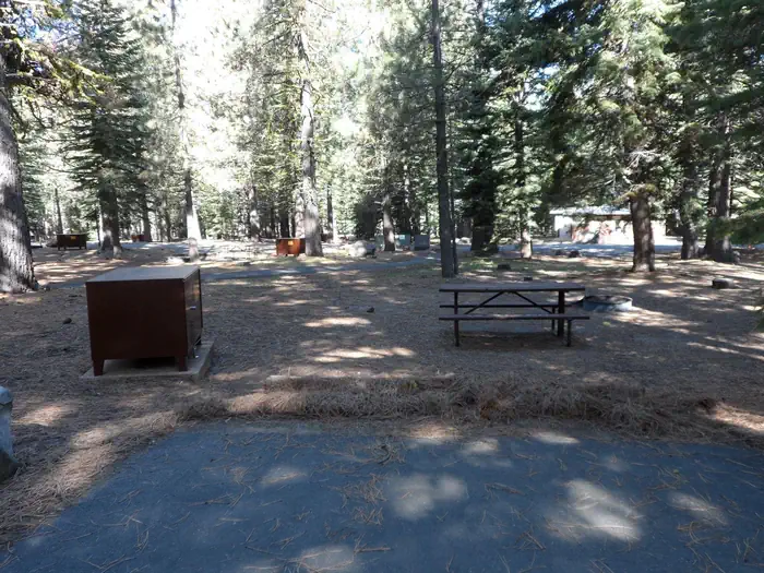 Indian Creek Campground (Yellowstone)