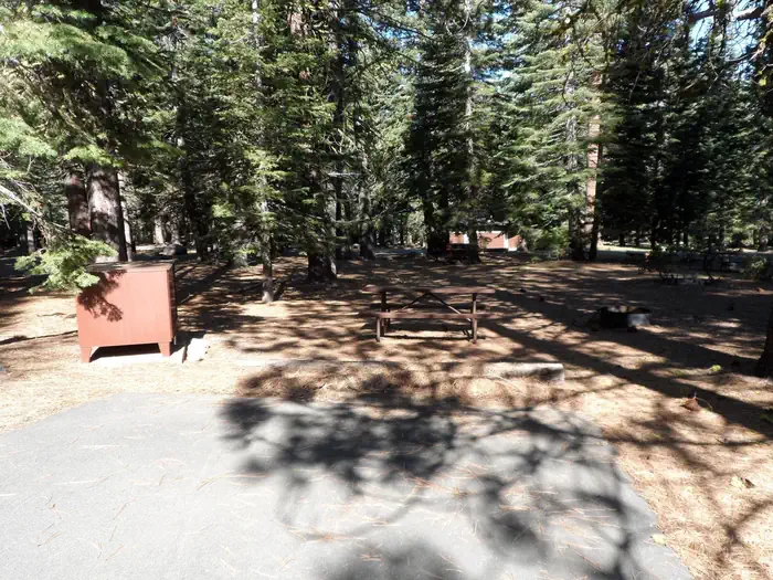 Indian Creek Campground (yellowstone) Indian Creek site #13