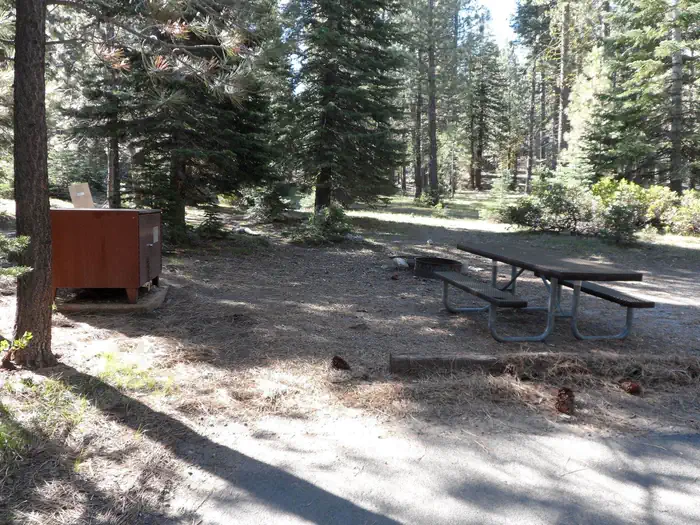 Indian Creek Campground (yellowstone) Indian Creek site #10