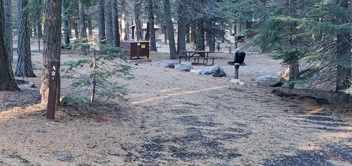 Indian Creek Campground (Yellowstone)