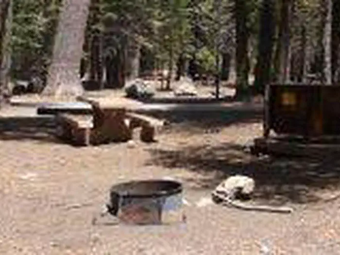 Indian Creek Campground (yellowstone) Indian Creek site # 73