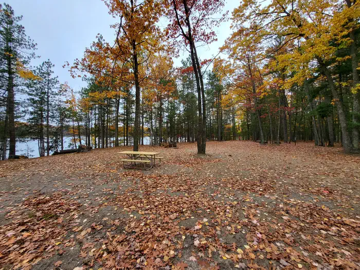 Lyman Lake Dispersed Campsites
