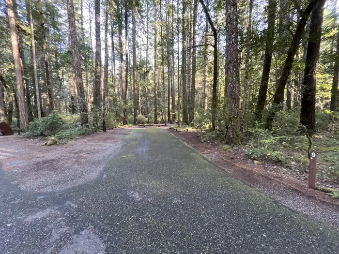 Panther Flat Campground