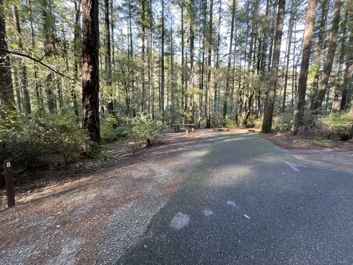 Panther Flat Campground