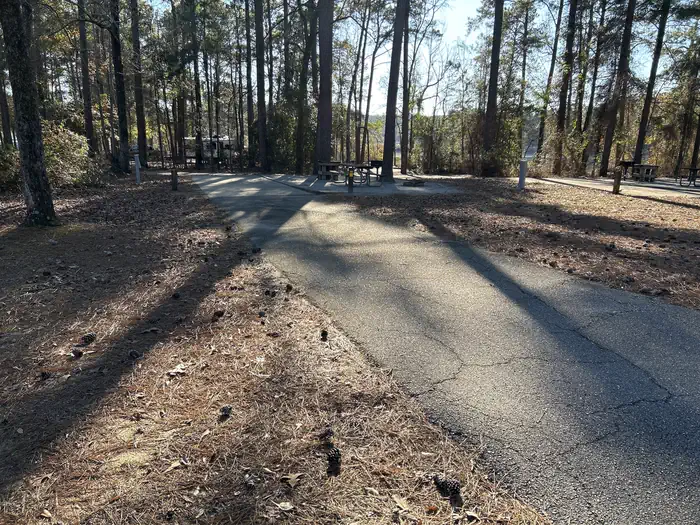 Hardridge Creek Campground