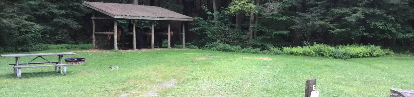 Kelly Pines Campground