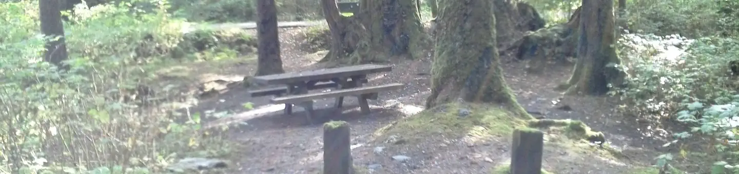 Signal Creek Campground