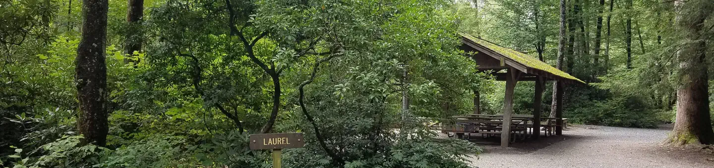 LAUREL
