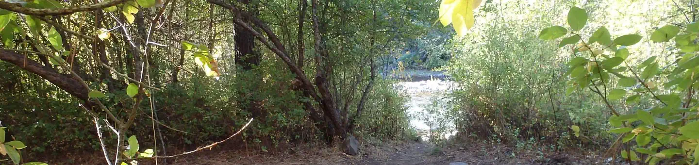 Cottonwood Campground (wa)