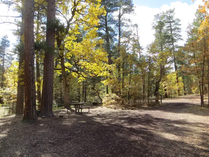 Dairy Springs Campground