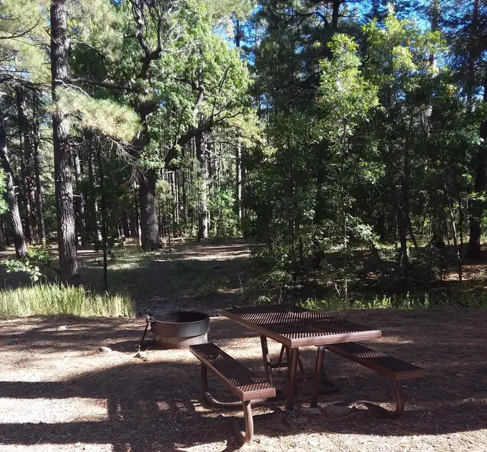 Dairy Springs Campground