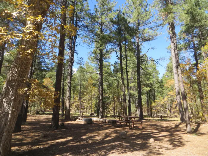 Dairy Springs Campground