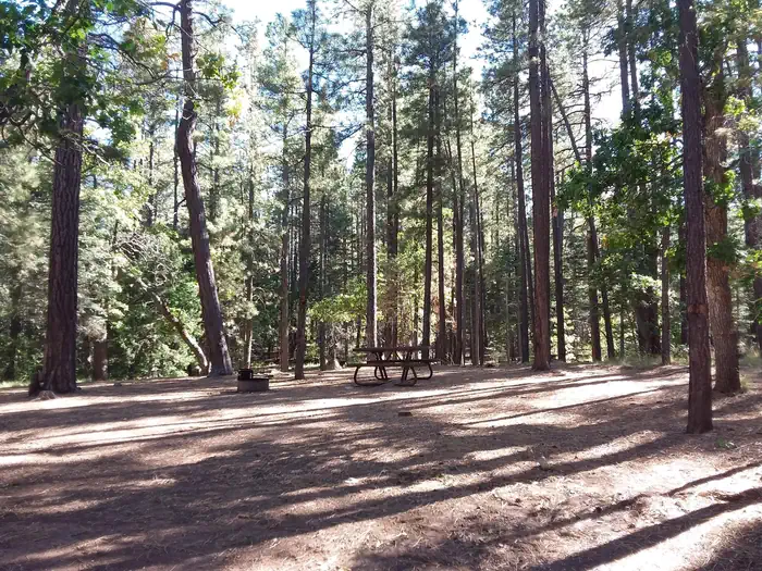 Dairy Springs Campground