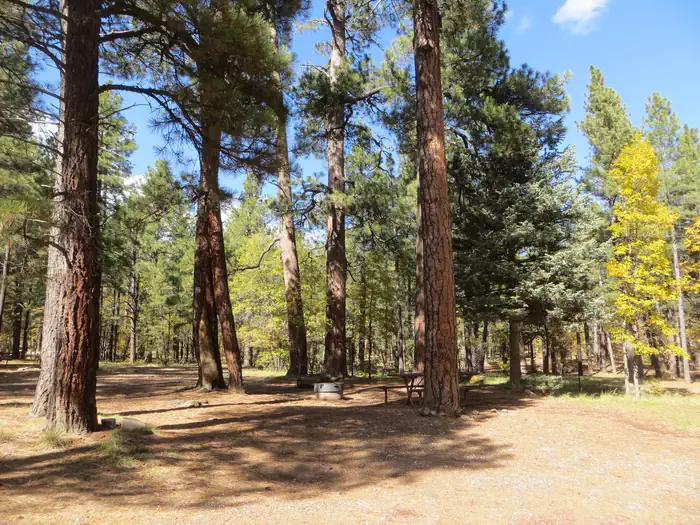 Dairy Springs Campground