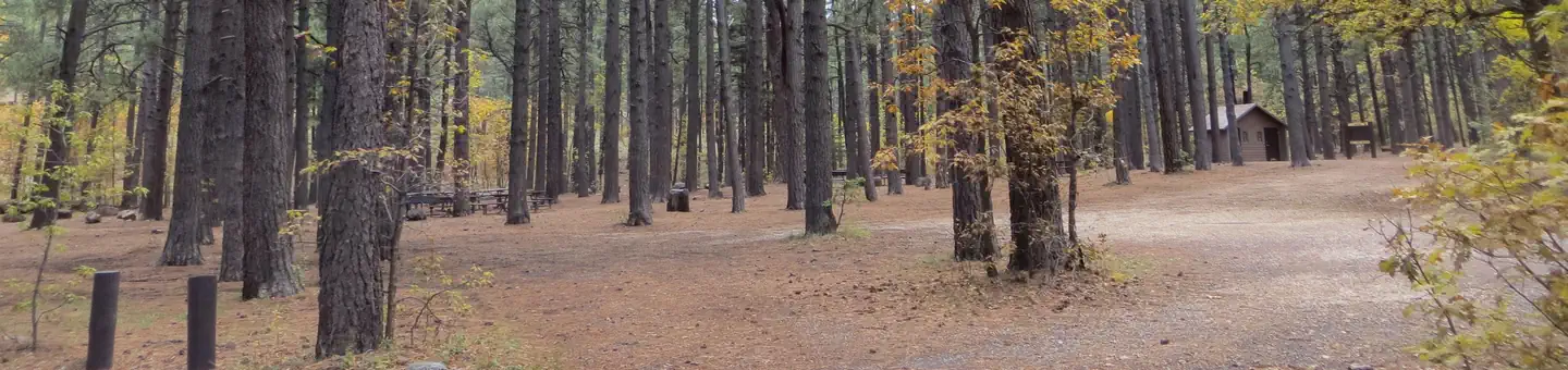 Dairy Springs Campground