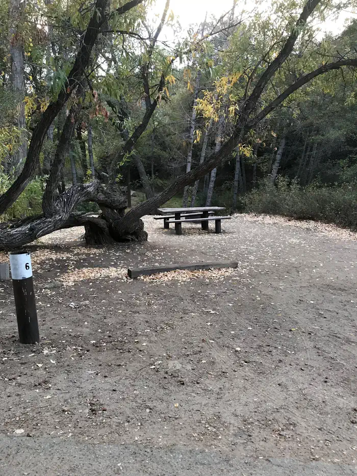 Reyes Creek Campground