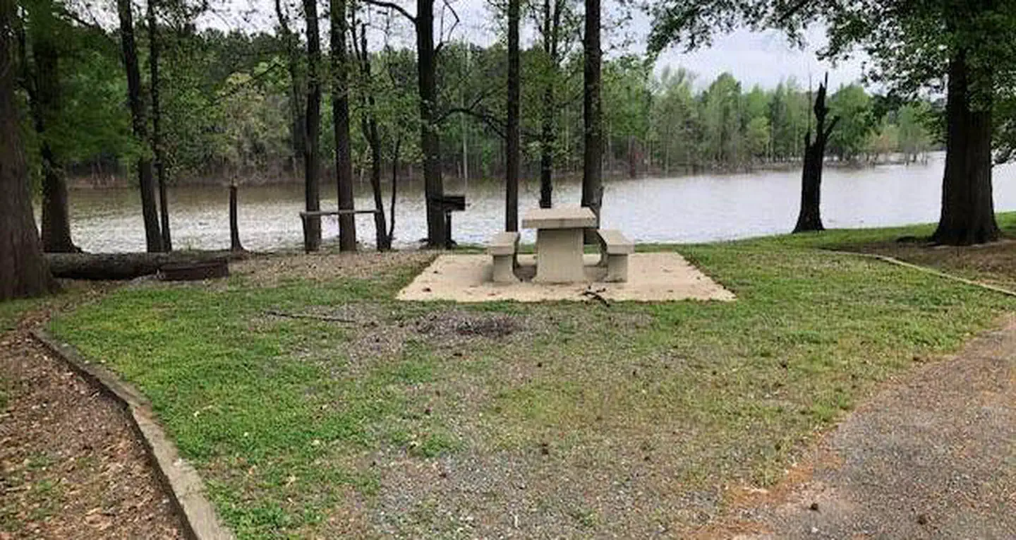 Piney Point