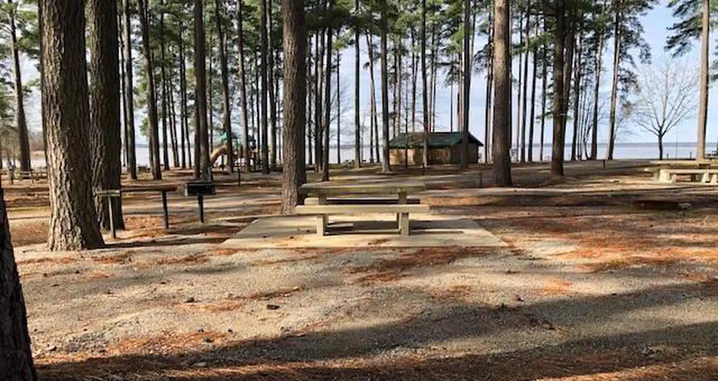 Piney Point